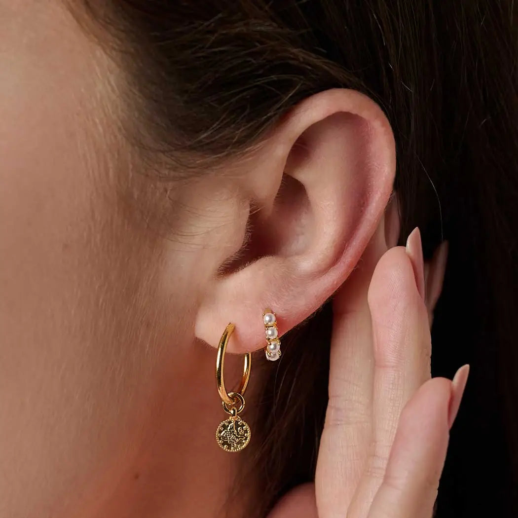 Hestia Coin Hoops