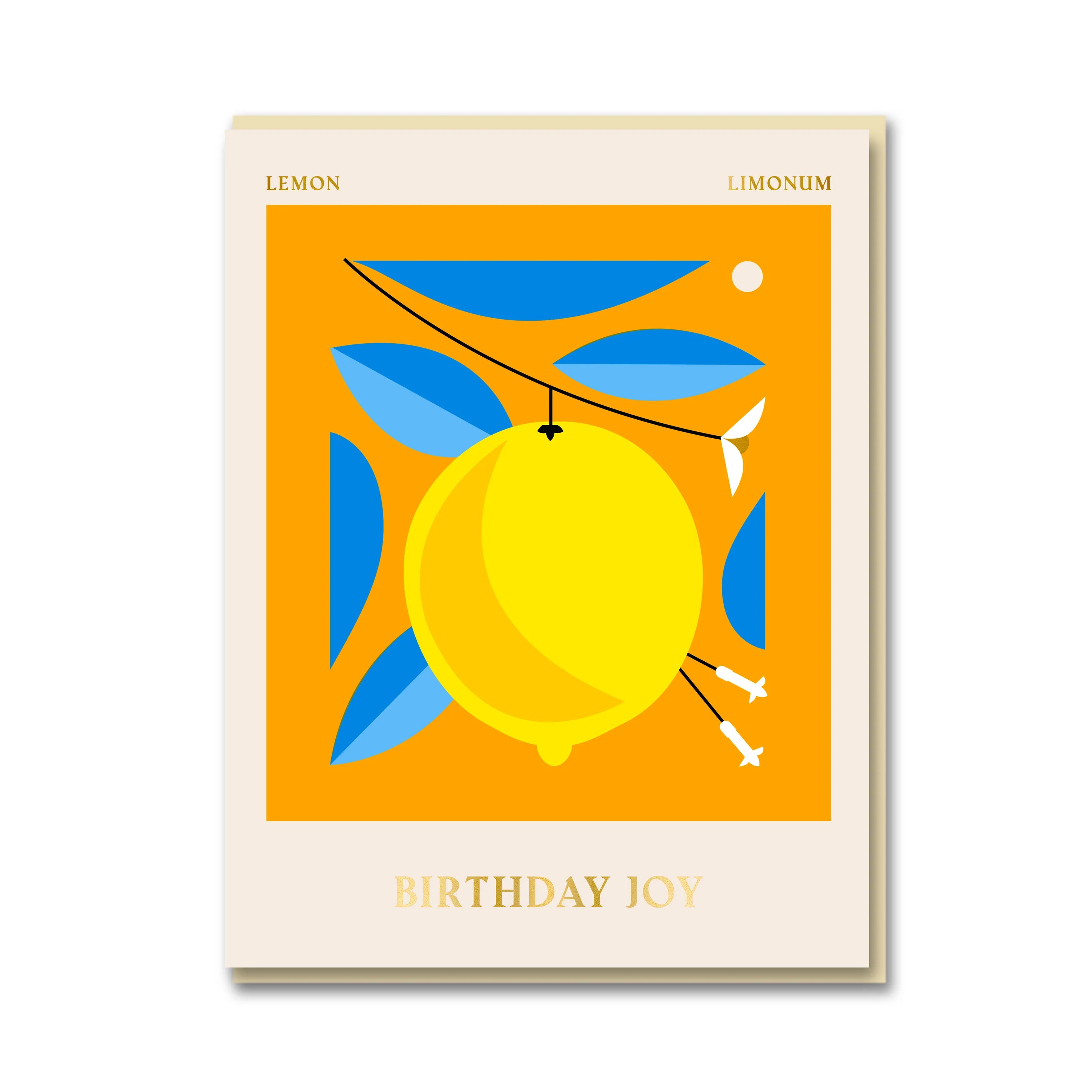 Birthday Joy Card