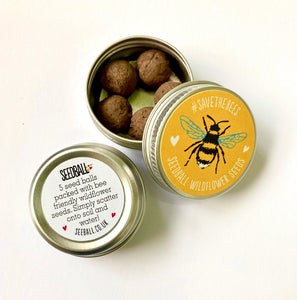 Mini Save The Bees Seedball Tins - various colours