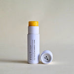 Load image into Gallery viewer, Sea Buckthorn &amp; Orange Natural Vegan Lip Balm
