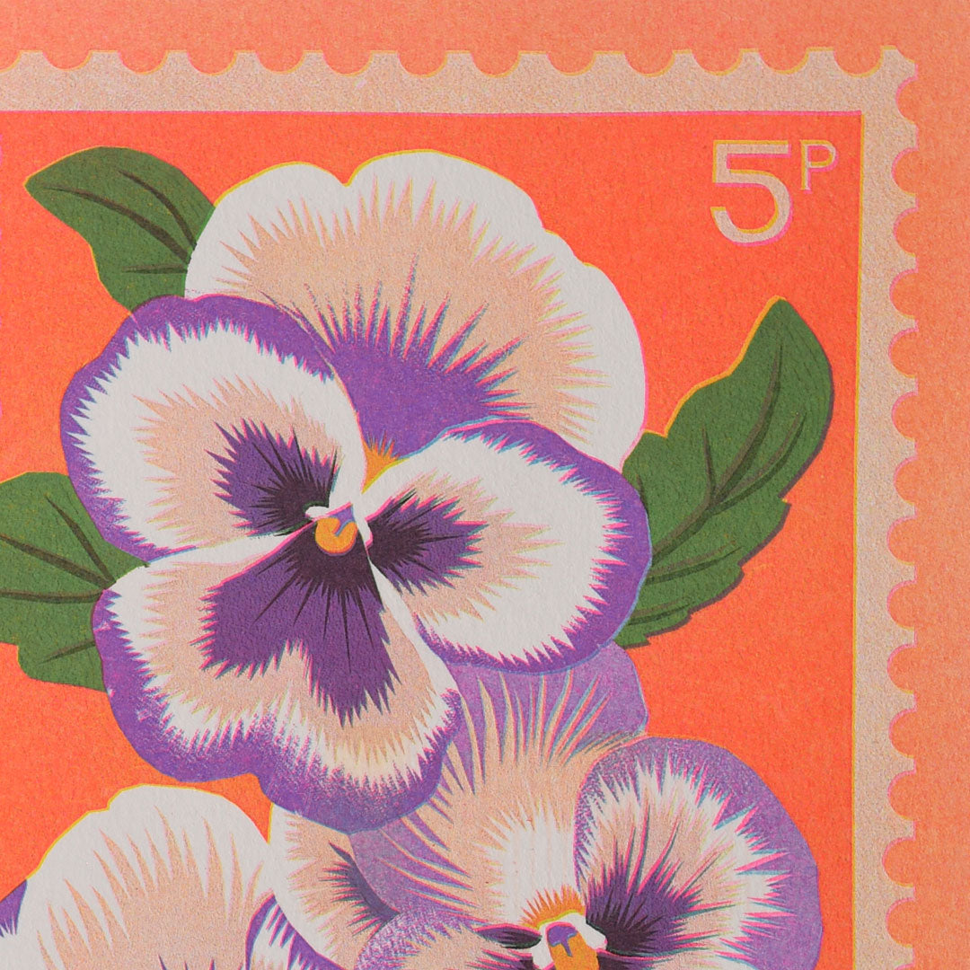Pansy A5 Print