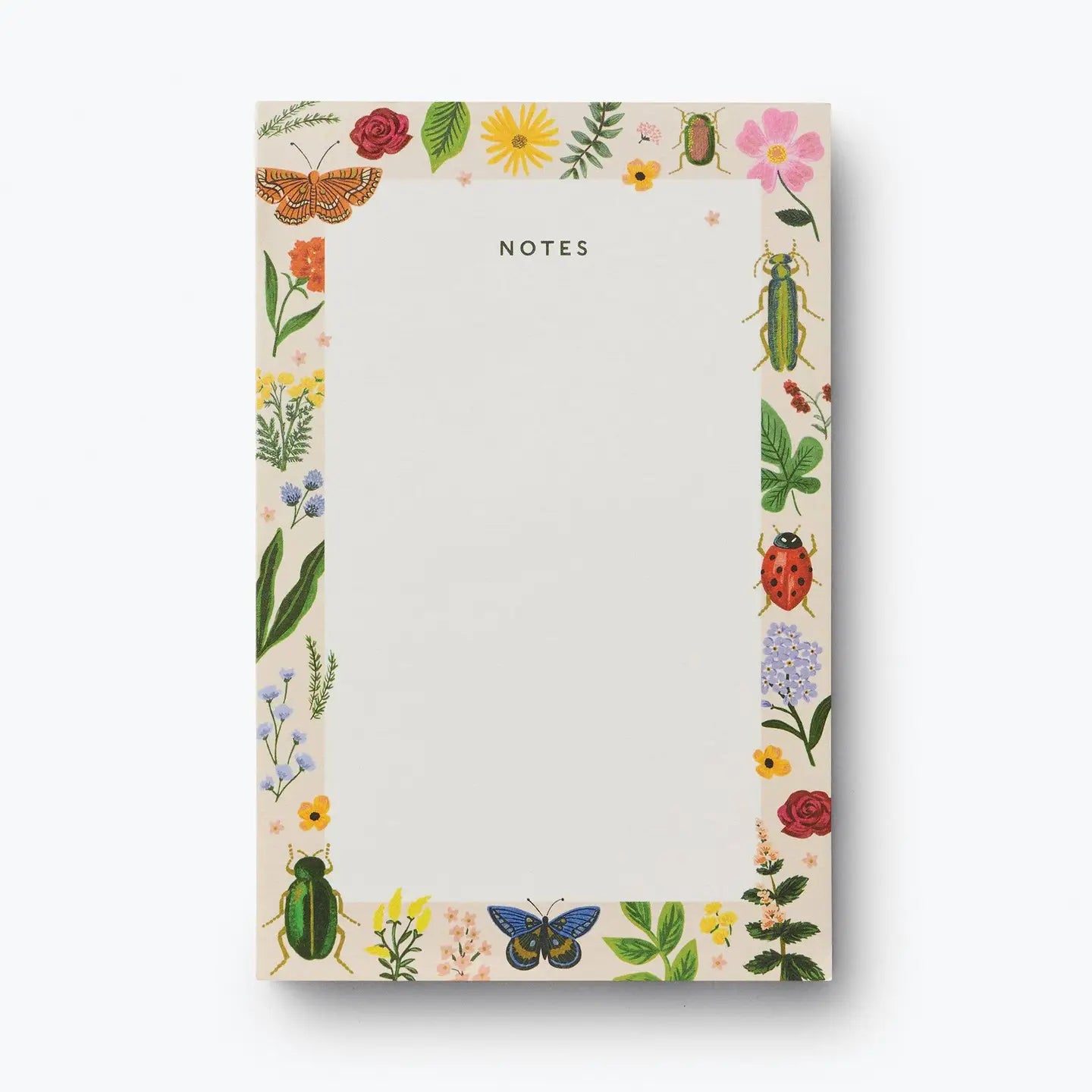 Curio Notepad