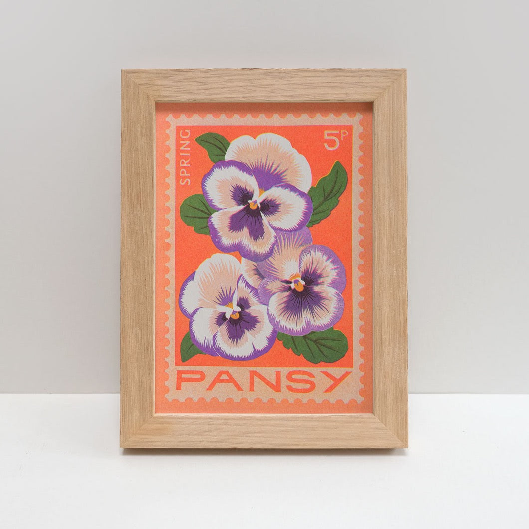 Pansy A5 Print