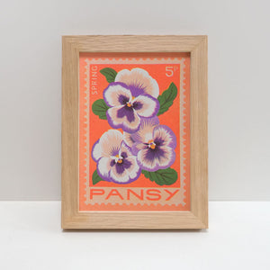 Pansy A5 Print