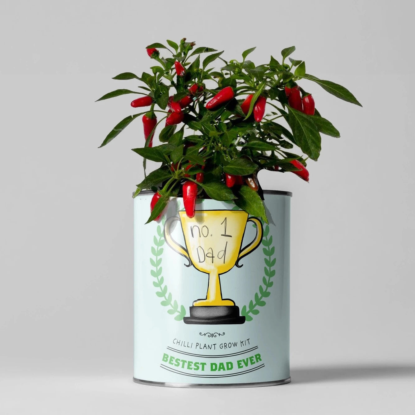 Number 1 Dad - grow your own chilli plants kit