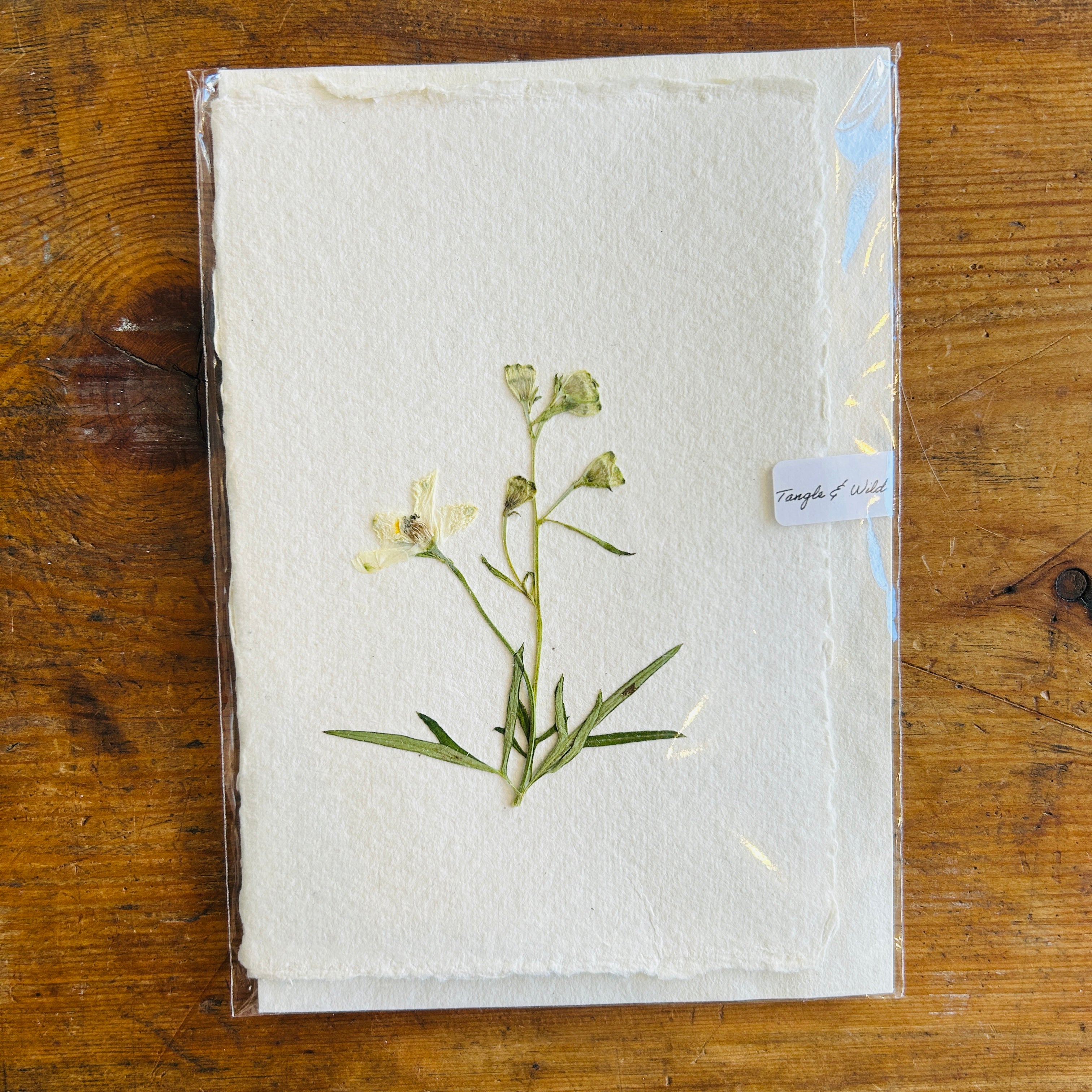 Delphinium Dried Flower Card