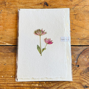 Pressed Flower Greeting Card