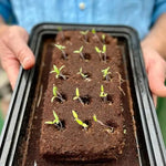 Load image into Gallery viewer, The Chef&#39;s Garden Trio Growbar
