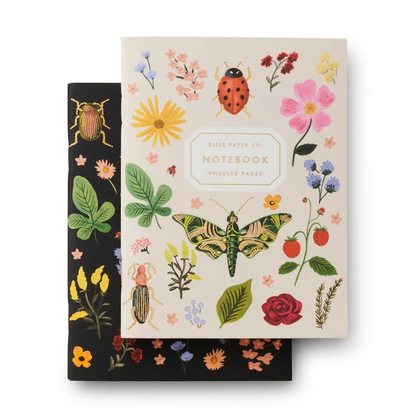 Curio Pocket Notebooks - pair of 2