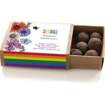 Load image into Gallery viewer, Rainbow Wildflower Seedball Box
