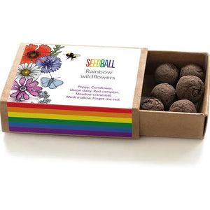 Rainbow Wildflower Seedball Box