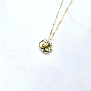 Stella Charm Necklace - various colours