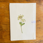 Load image into Gallery viewer, Pressed Flower Greeting Card
