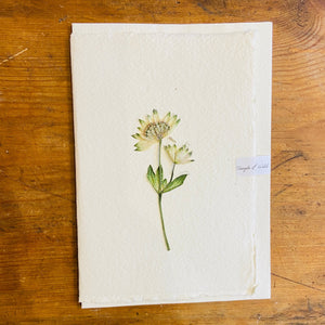 Pressed Flower Greeting Card