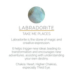 Load image into Gallery viewer, Audie Labrodite Ring - Silver
