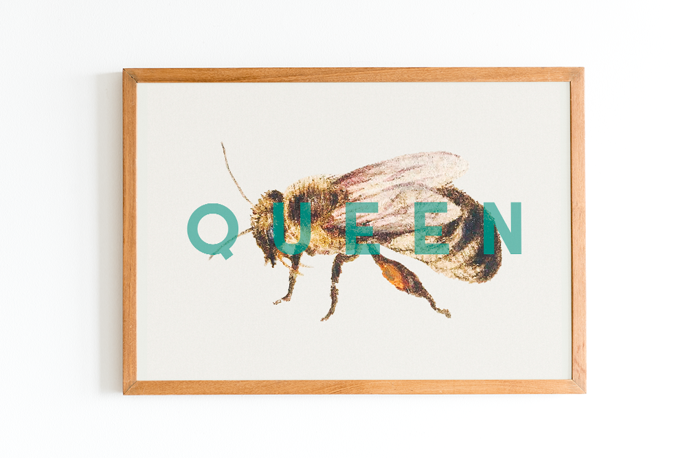 Queen Bee Print