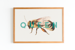 Load image into Gallery viewer, Queen Bee Print
