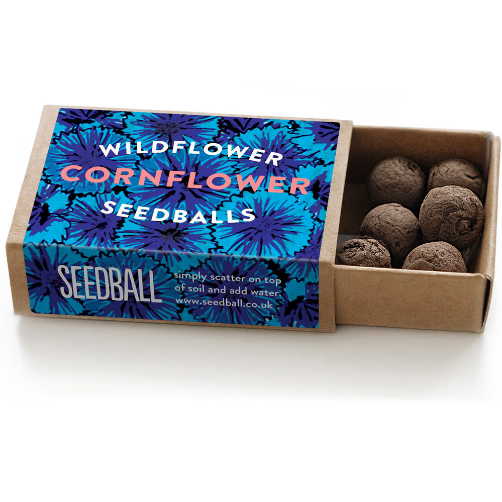 Seedball Mini Seed Box - Cornflower