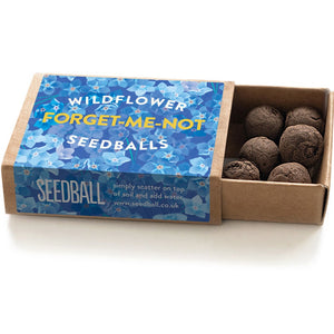 Seedball Mini Box - Forget Me Not