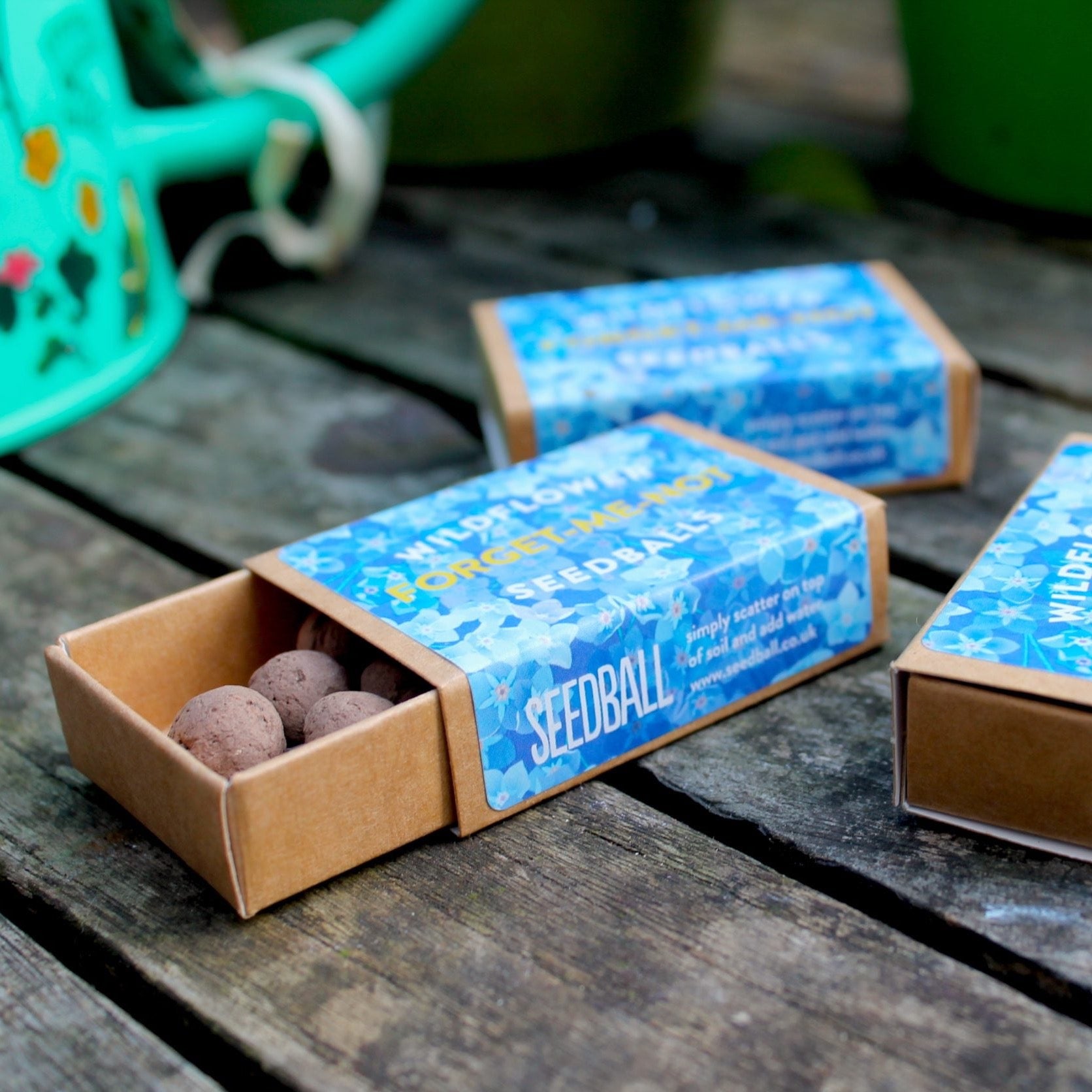 Seedball Mini Box - Forget Me Not