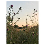 Load image into Gallery viewer, Sussex Wildflower Honey (340g)
